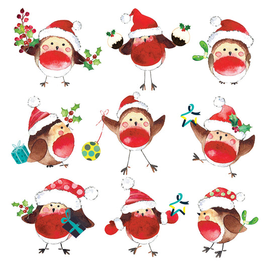 Festive robins christmas card