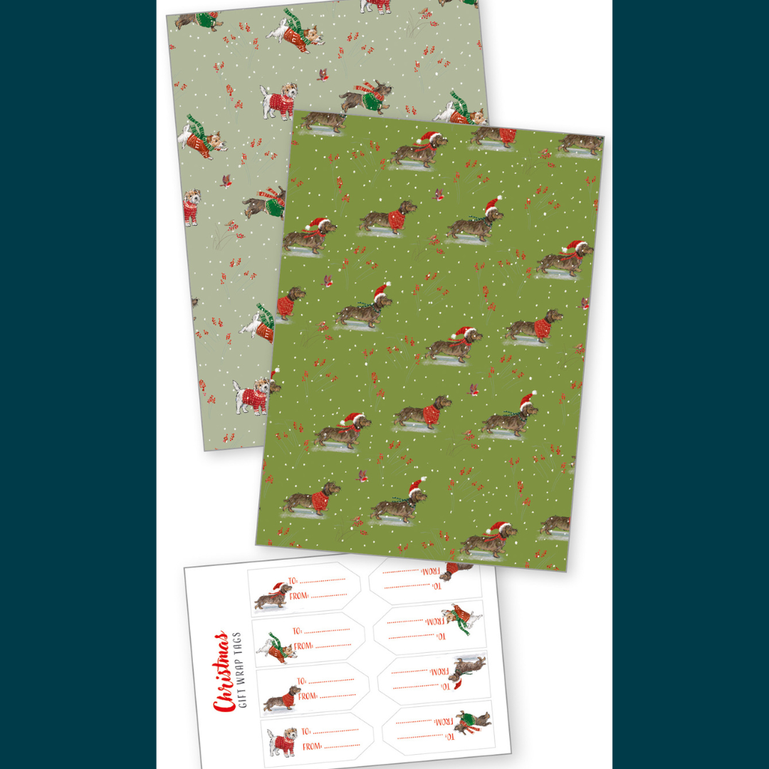 Sausage dog gift wrap