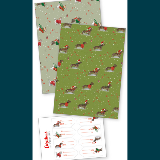 Sausage dog gift wrap